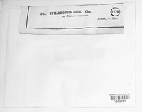 Image Associated With the Occurence